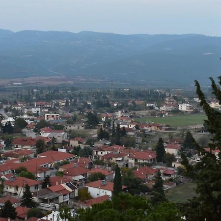 Kyriaki Guesthouse & Suites 암피키아 외부 사진