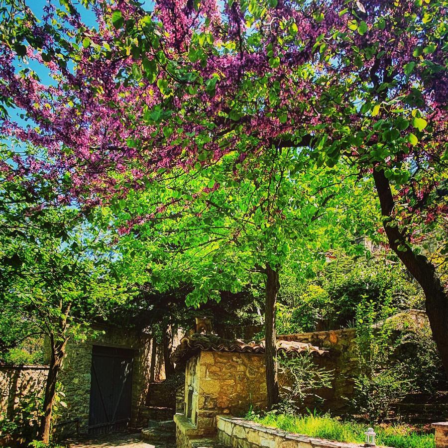 Kyriaki Guesthouse & Suites 암피키아 외부 사진