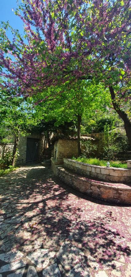 Kyriaki Guesthouse & Suites 암피키아 외부 사진